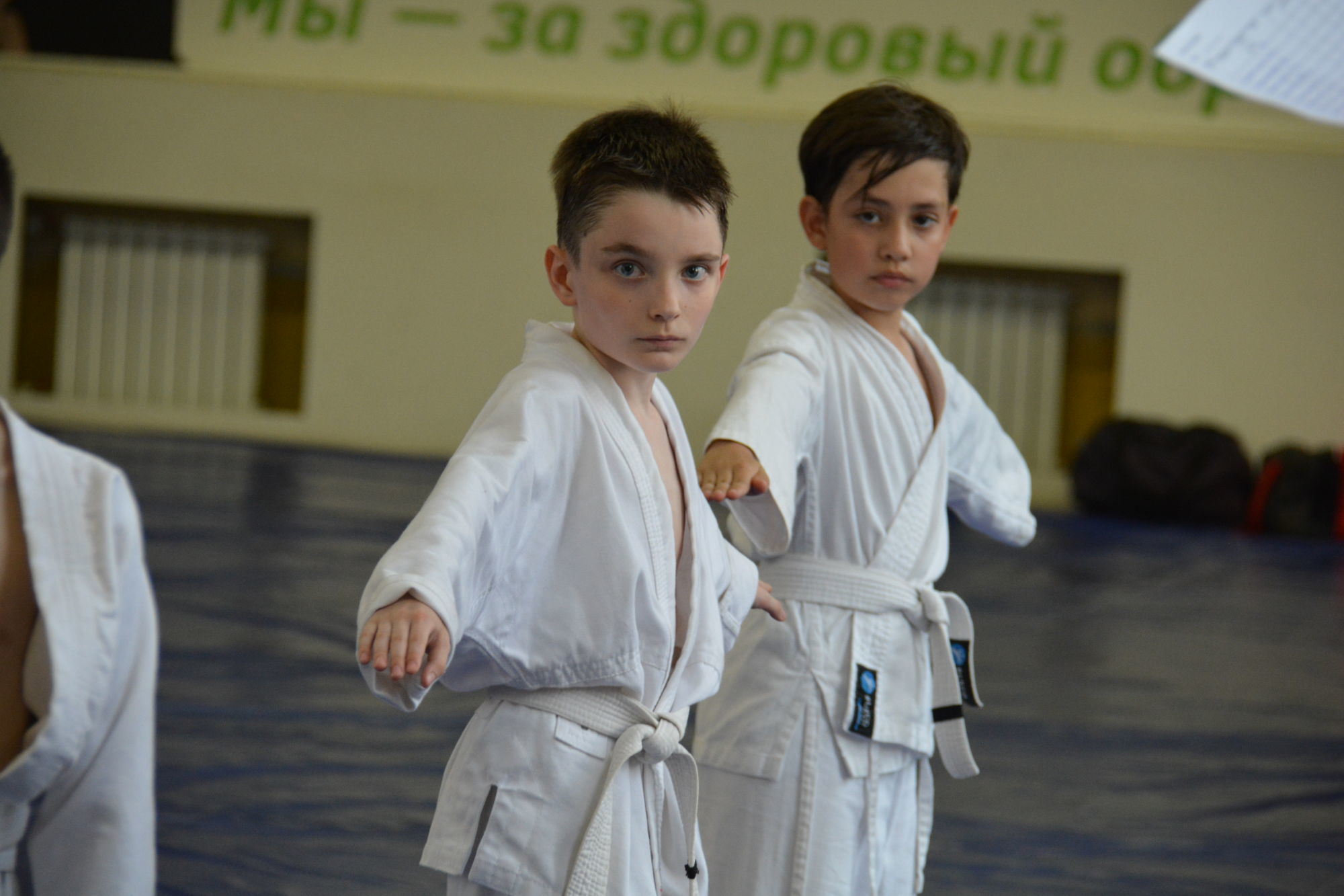 image_e22ef5d8e452fa84103f4baa9454c6a2.jpeg